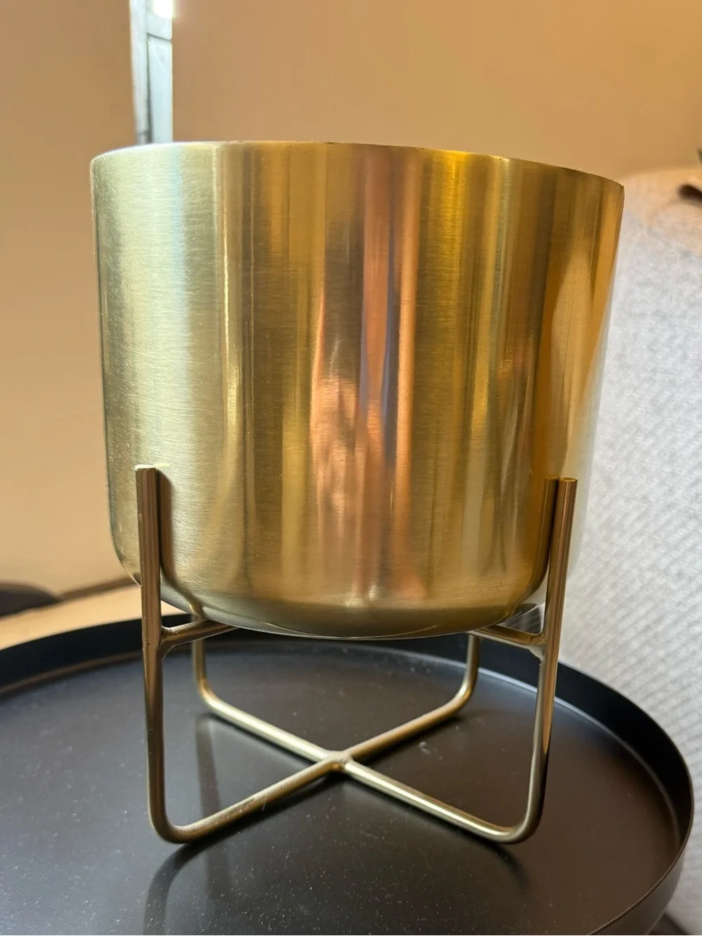 West Elm Spun Metal Tabletop Planter in Brass Gold